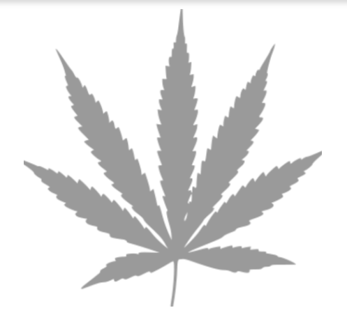 Unveiling the Mystique of Acapulco Gold: A Cosmic Experience at Cultiv8