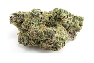 Apples & Banana Strain by Ground Up Farms