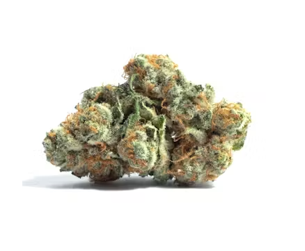 Christmas Tree (Alter Farms) 25.54%