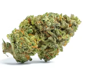 Dive into Bliss with Faygo (Indulge) 27.37% Flower