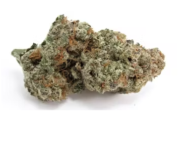 Horchata Breath (Boring Glory)