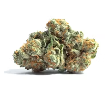 Night Nurse Alter Farms