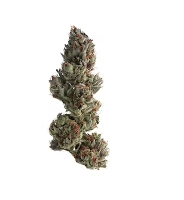 Runtz strain review