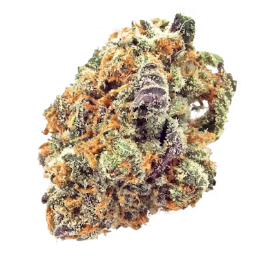 Unlocking the Bliss: Exploring Mimosa (Ganja Key) 24.4% - A Hybrid Flower Delight