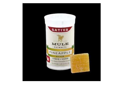 Mule Pineapple Live Resin 100MG Gummies: A Full-Spectrum Cannabis Experience